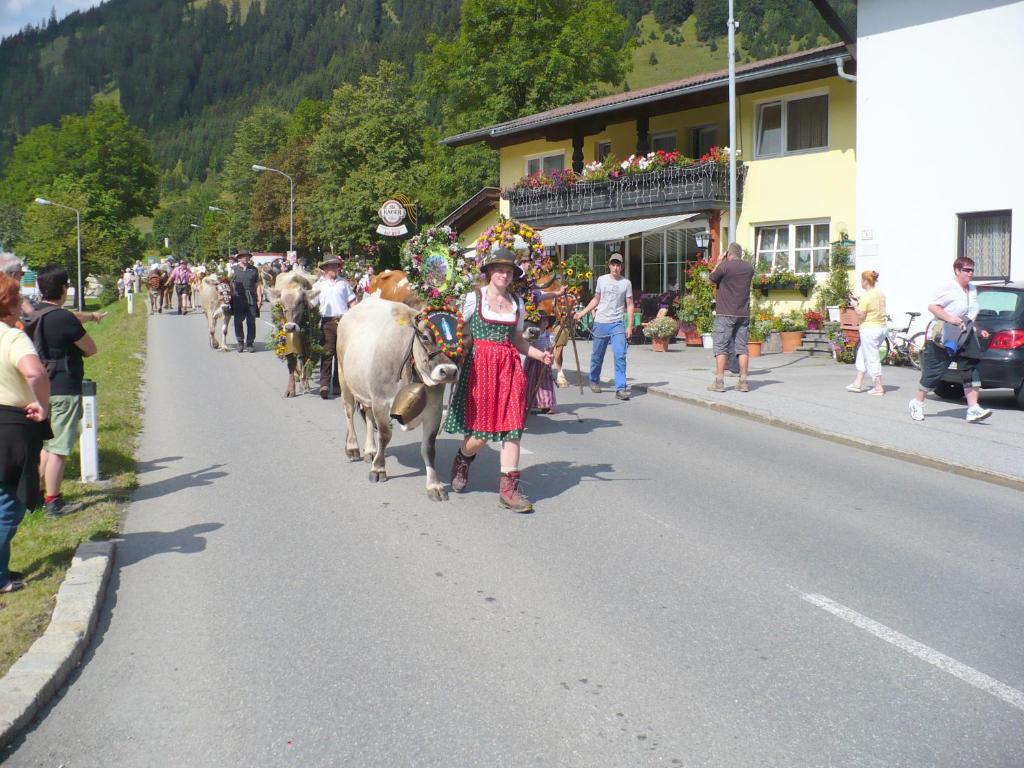 Haus Panorama photo 2