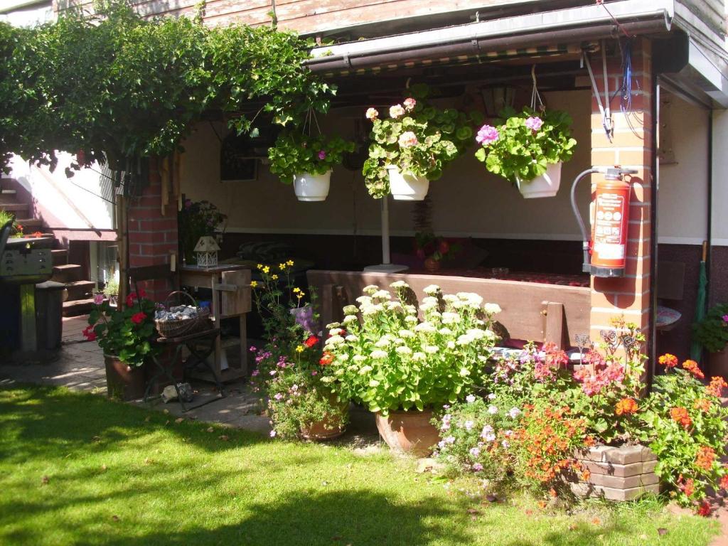 Ferienwohnung und Bungalow Haegema photo 4