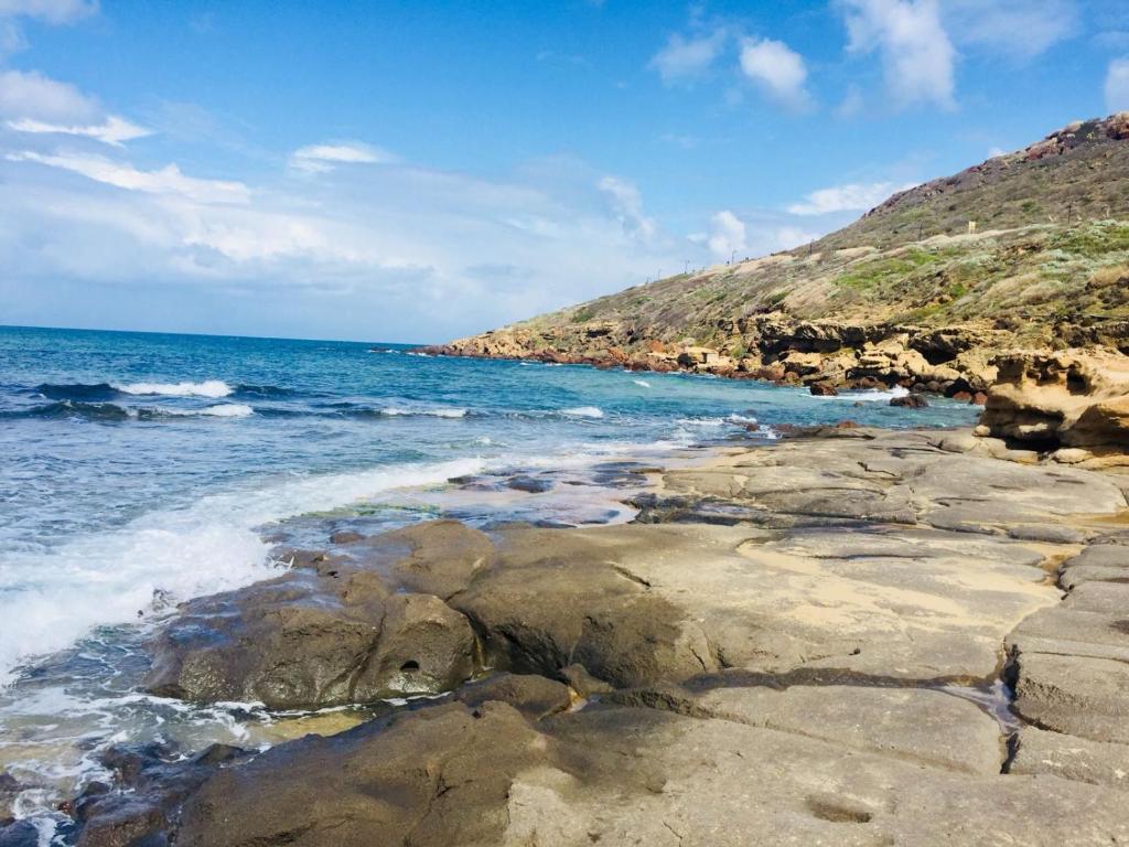 Asinara 2 - Tap to explore photos