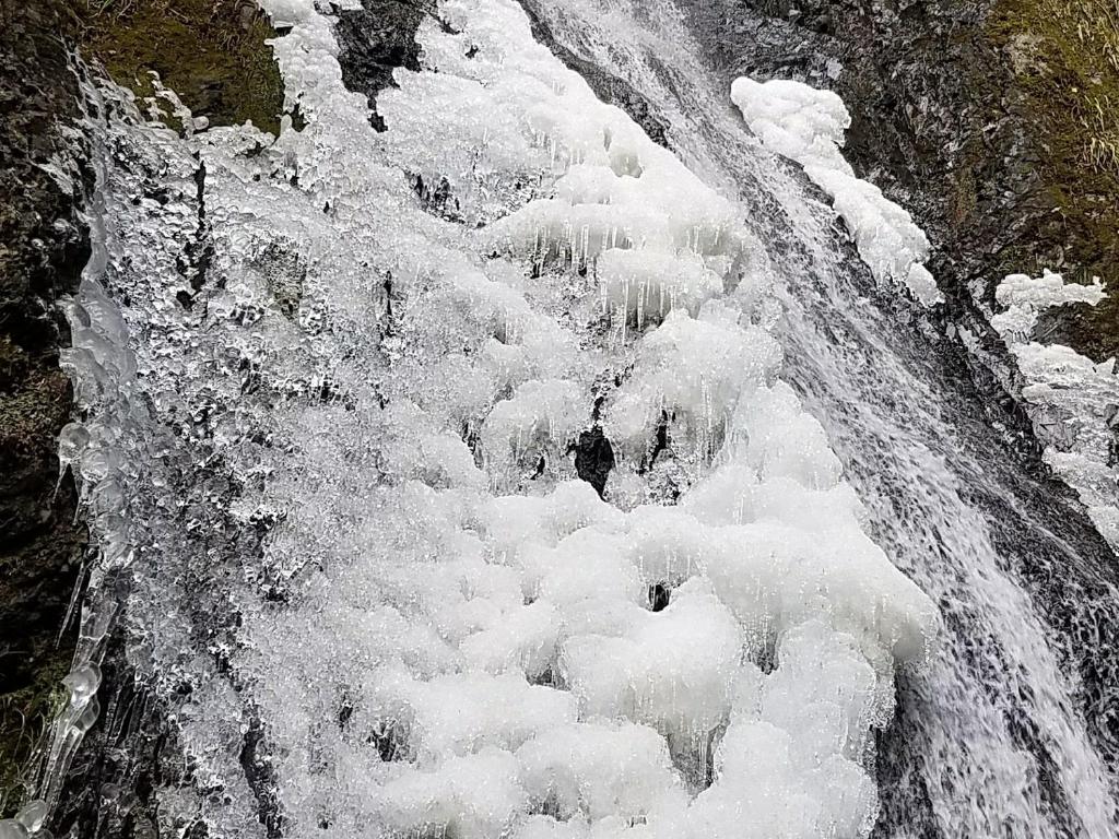 Yadori Onsen Iyashinoyu photo 3