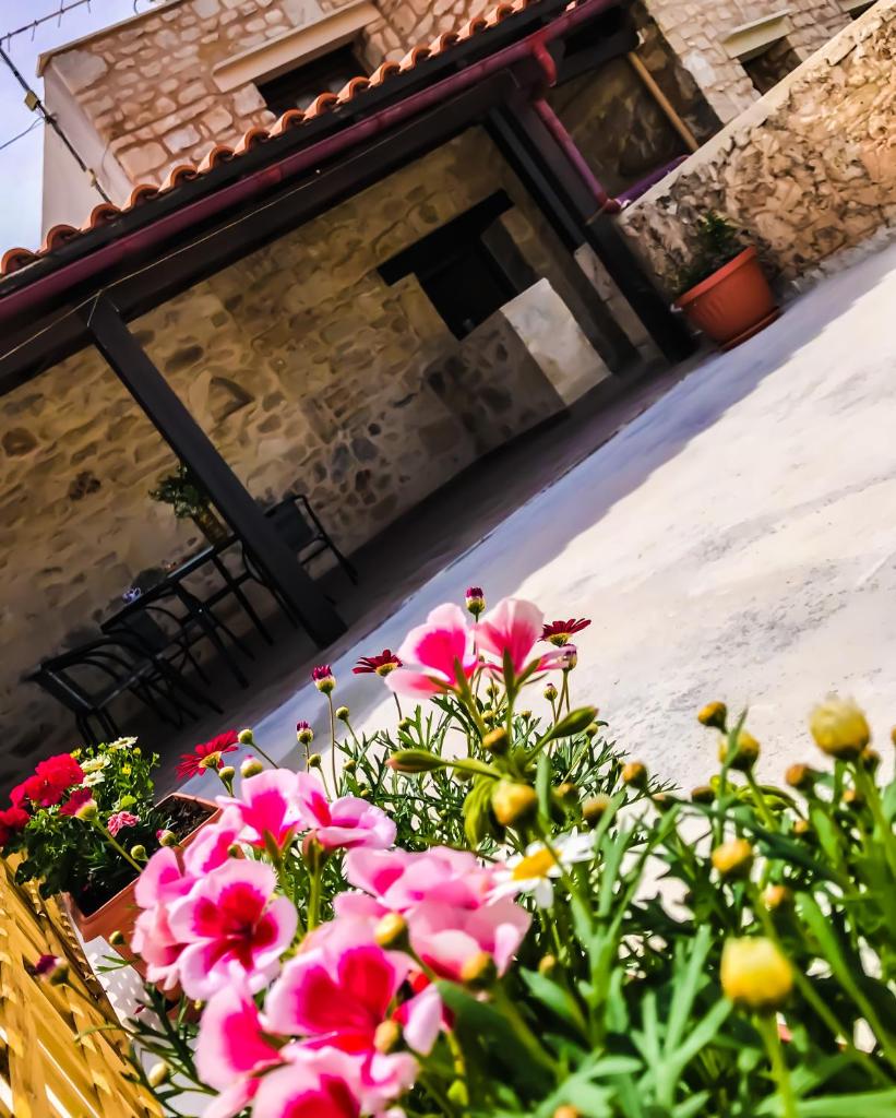 Antonia’s Home Alfa Village photo 1
