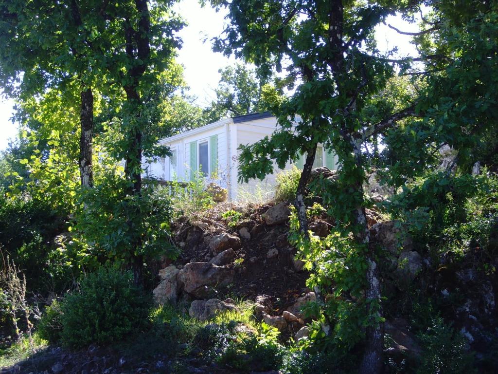 Camping des Templiers photo 4