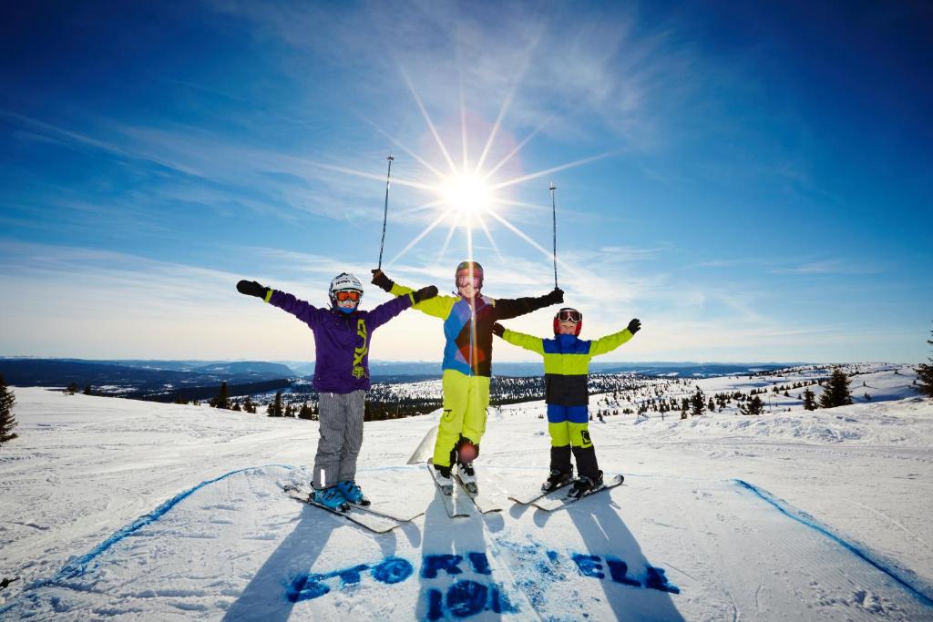 Storefjell Resort Hotel photo 1