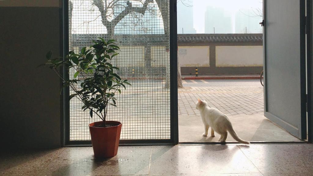 HOME++ Xi'an photo 4