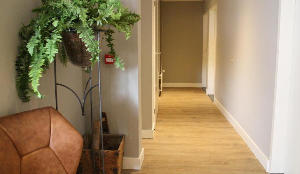 Hotel Triniteit photo 2