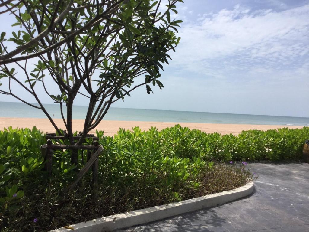 Rain~dear Cha Am Hua Hin photo 2