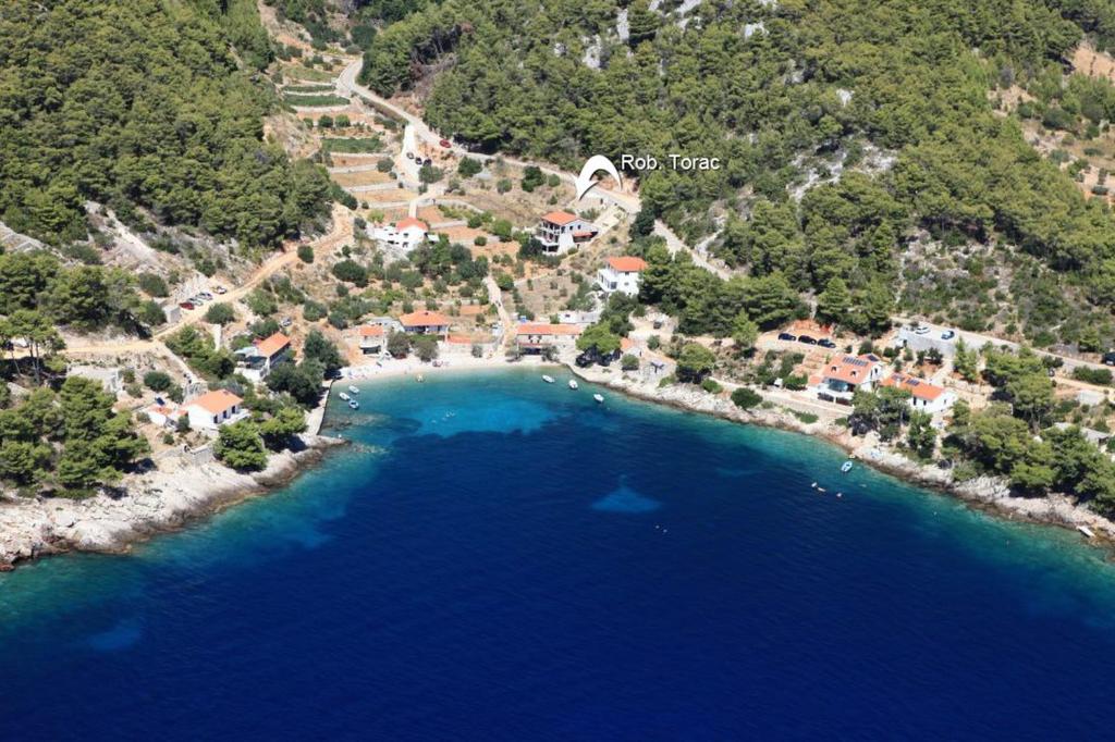 Robinson Torac photo 3