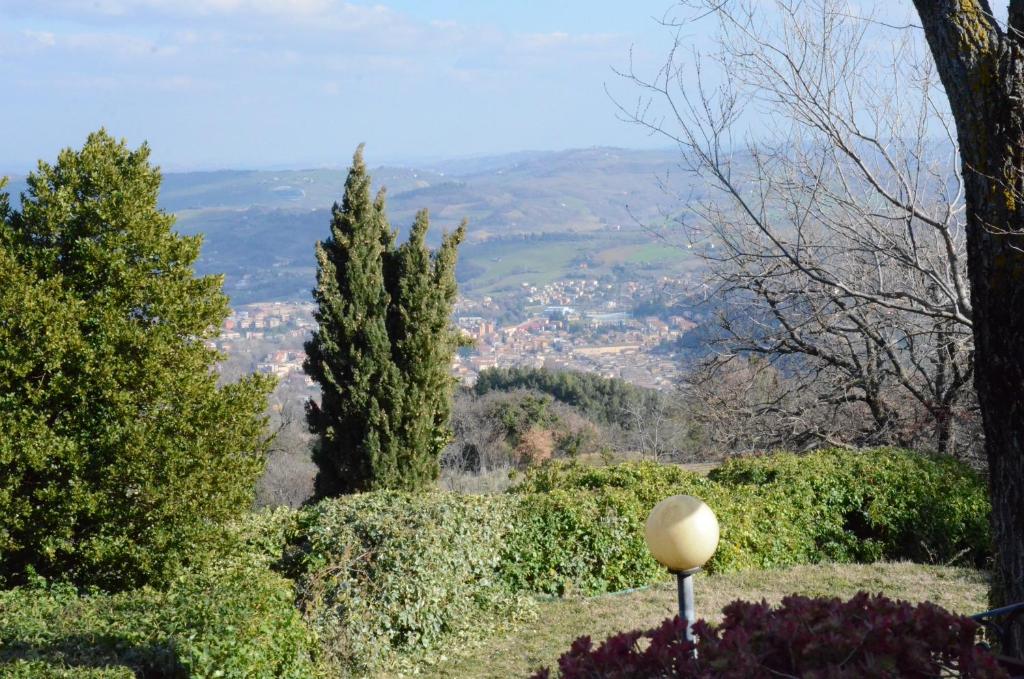 Le ginestre photo 4