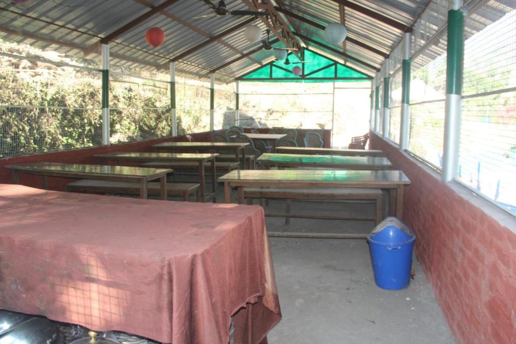 Номер (Шатер), Natural Camps with InHouse Swimming Pool