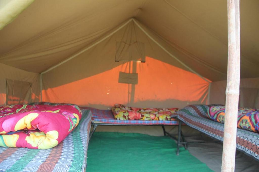 Номер (Шатер), Natural Camps with InHouse Swimming Pool