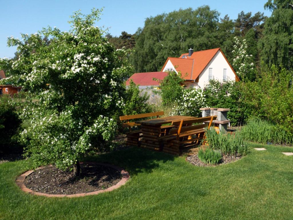 Usedom Ferienwohnungen Tannengrund photo 2