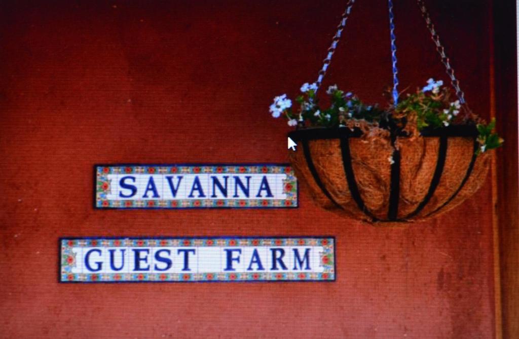 Savanna Guest Farm photo 2