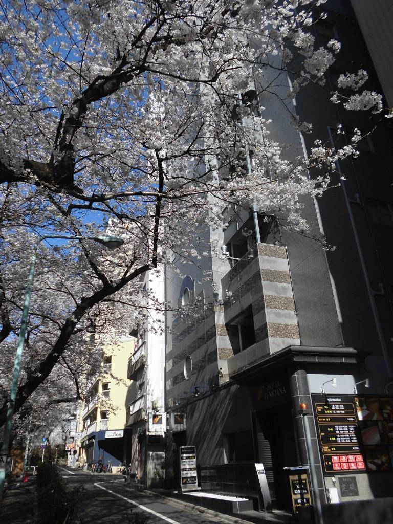 Hotel Moana Otsuka (Adult Only) photo 1