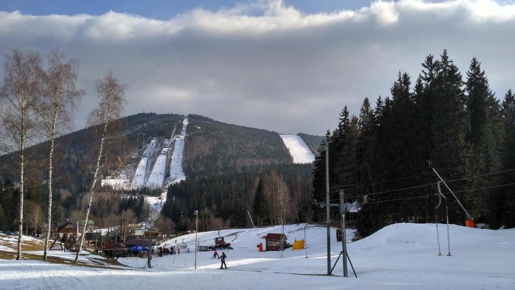 Harrachov Resident Apartments with Terrace photo 3