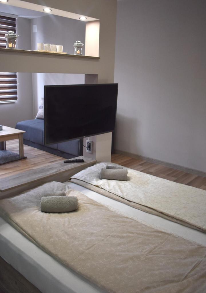 Apartmani Zrenjanin photo 3