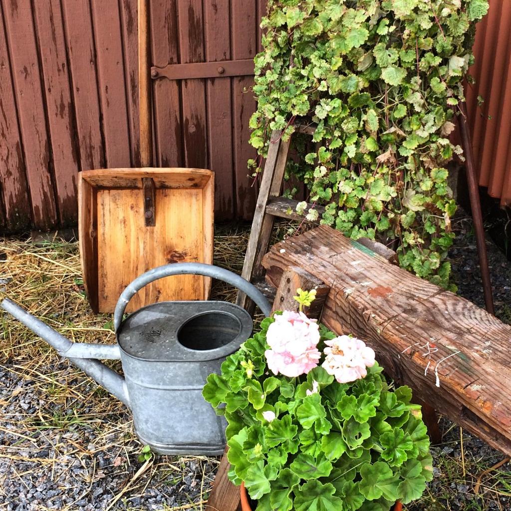 Hermanslycke Bed & Breakfast photo 3