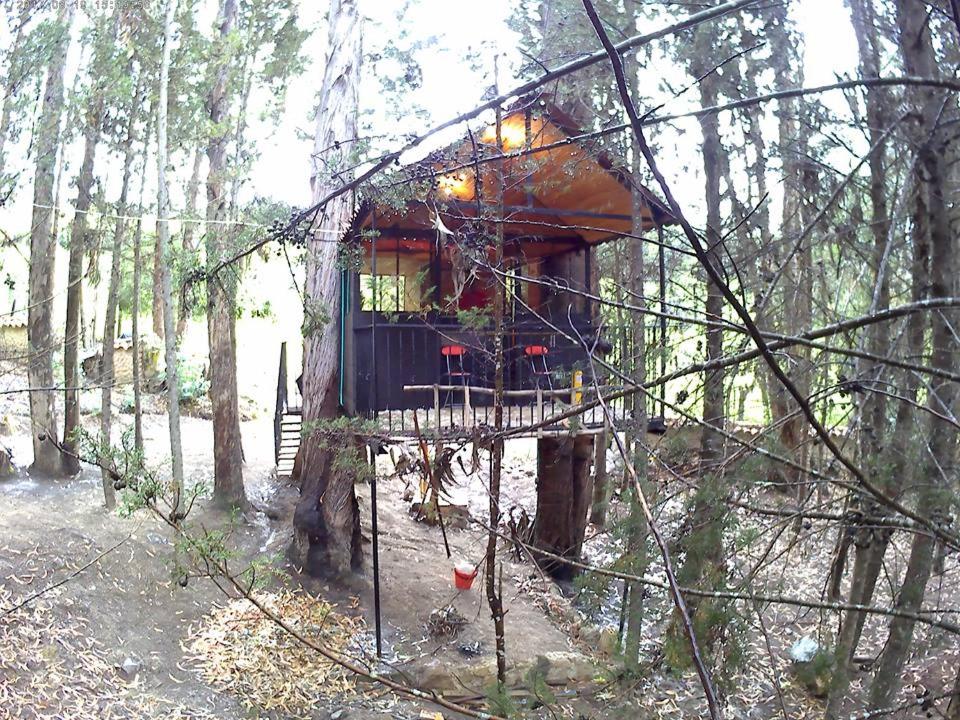 Casa En El Arbol photo 4