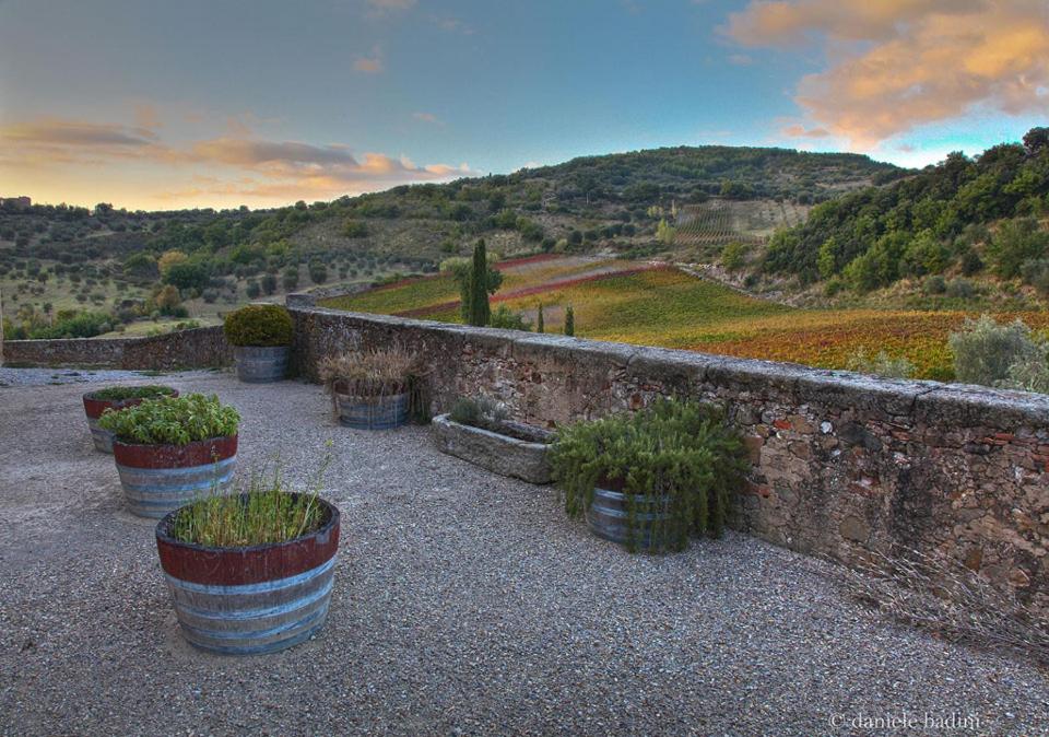 Dimora Toscana photo 3