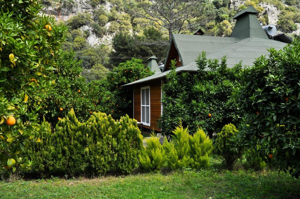 Arcadia Villas photo 1