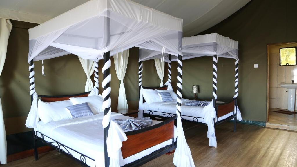 Ngorongoro Wild Camp photo 1