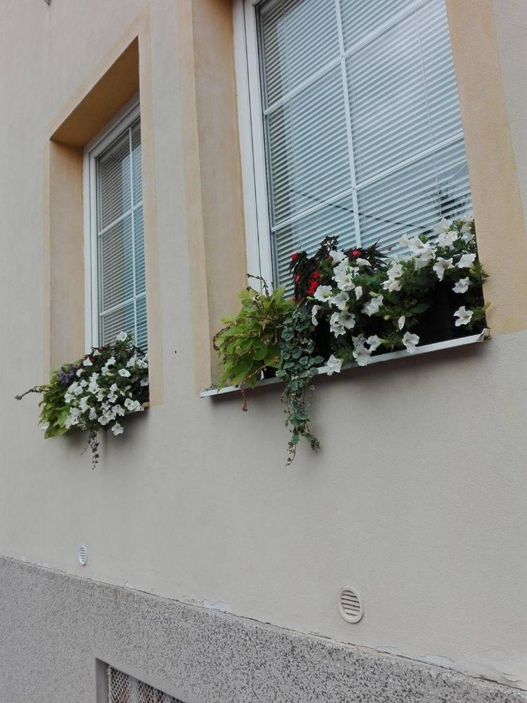 Penzion pod Kostelíčkem photo 1