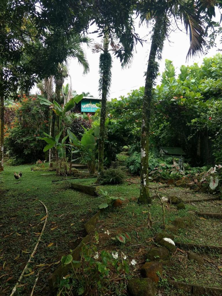 Beverly's Hill Guest House photo 3