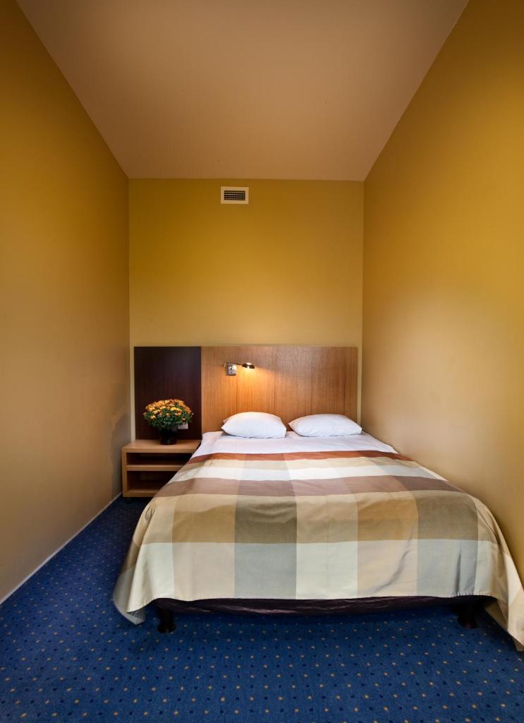 Одноместный (Стандартный одноместный номер), Hanza Hotel