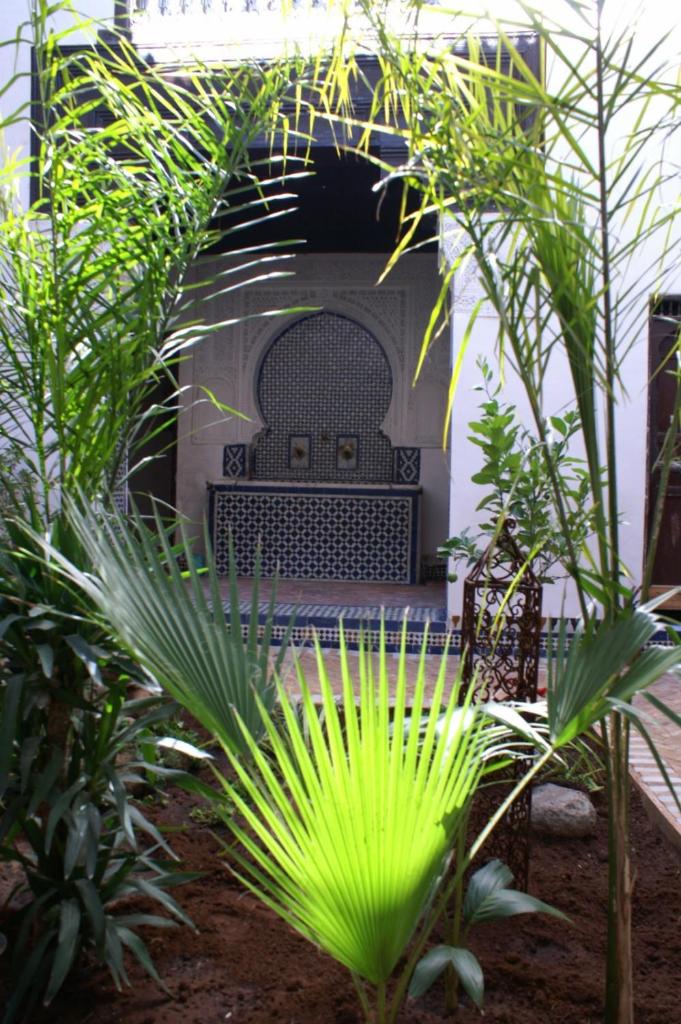 Riad Felloussia photo 2
