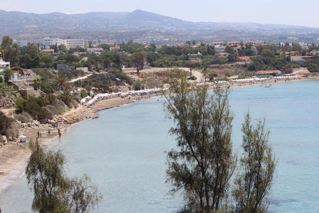 Coralli Villas photo 3