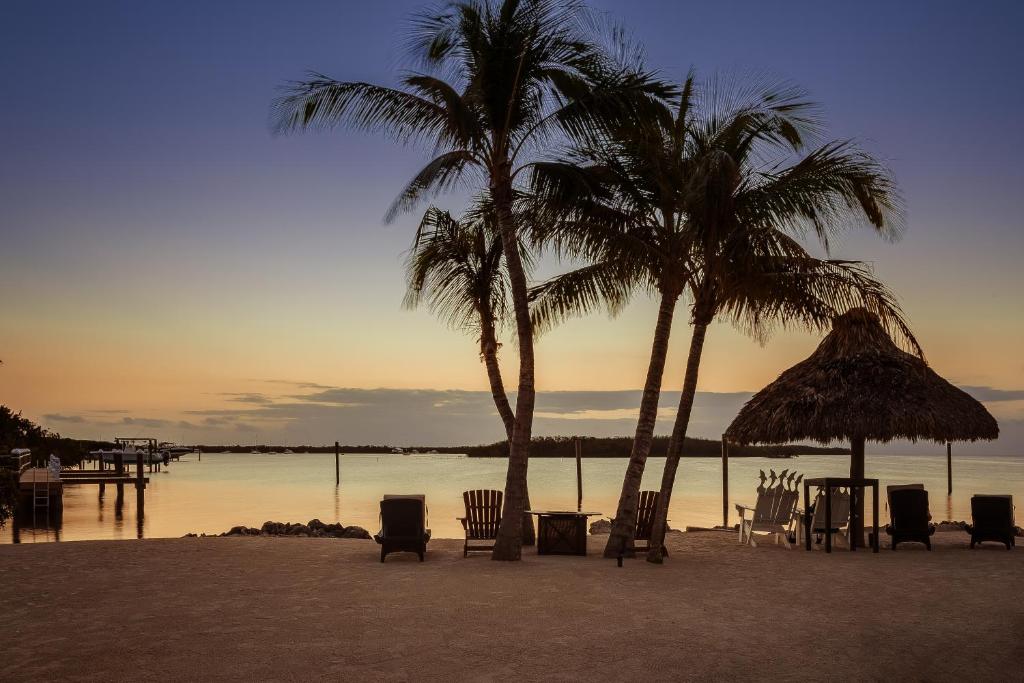 Atlantic Bay Resort photo 4