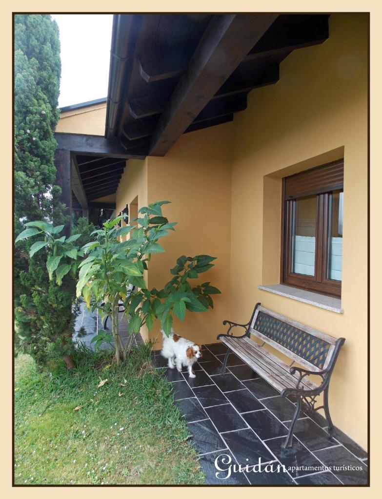 Apartamentos Guidan photo 3