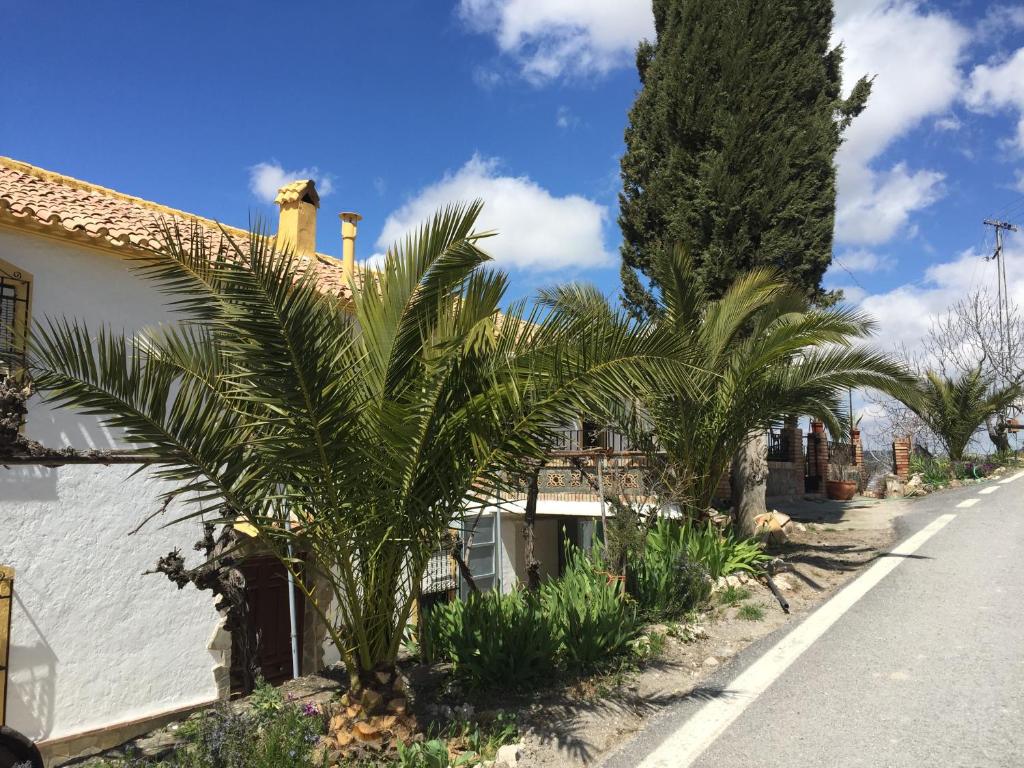 Cortijo La Huerta photo 3