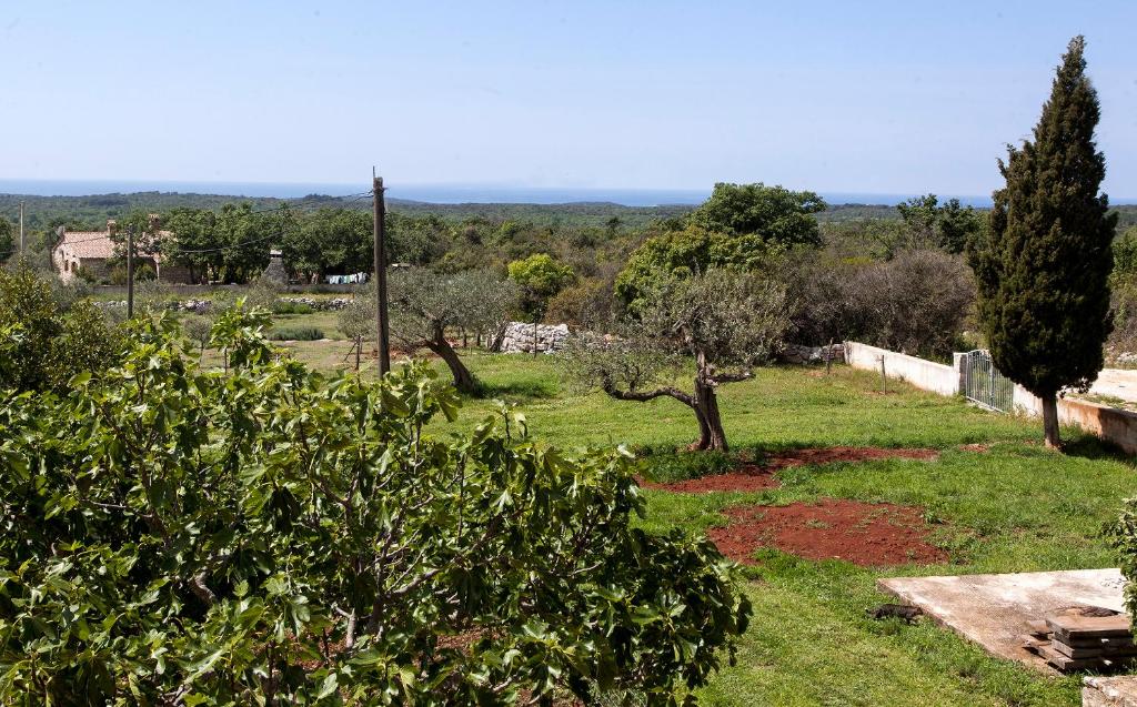 Vila Ana near Bale and Rovinj photo 2