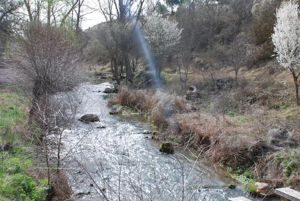 Alojamiento Rural Fuente Cancana photo 4