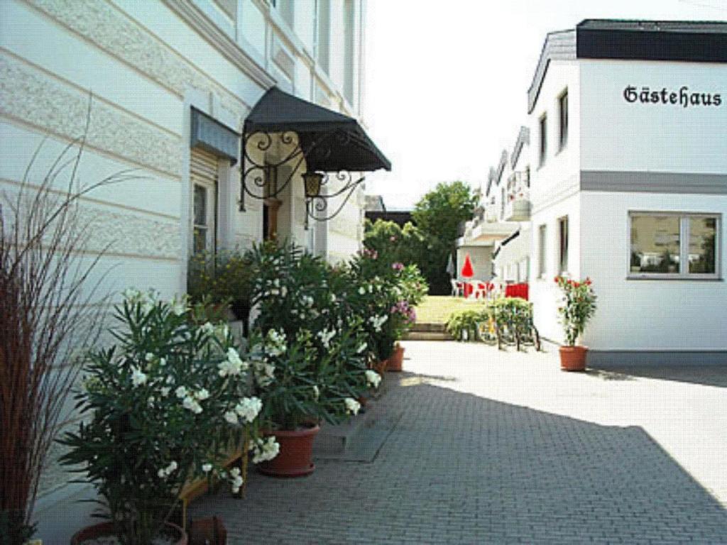 Ferienweingut Peter-Jos. Hauth photo 1
