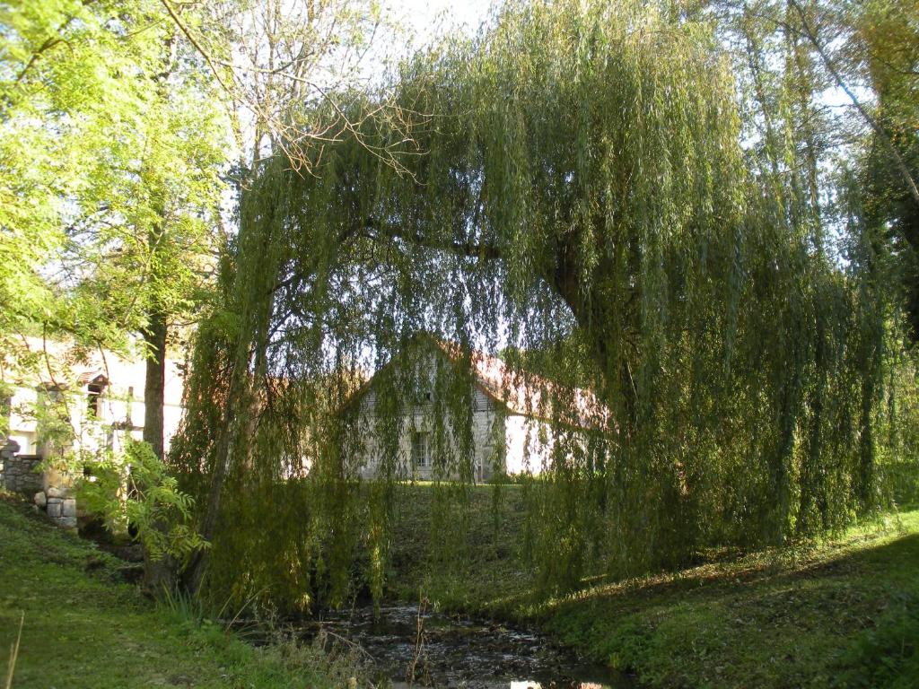 Moulin Saurele photo 4