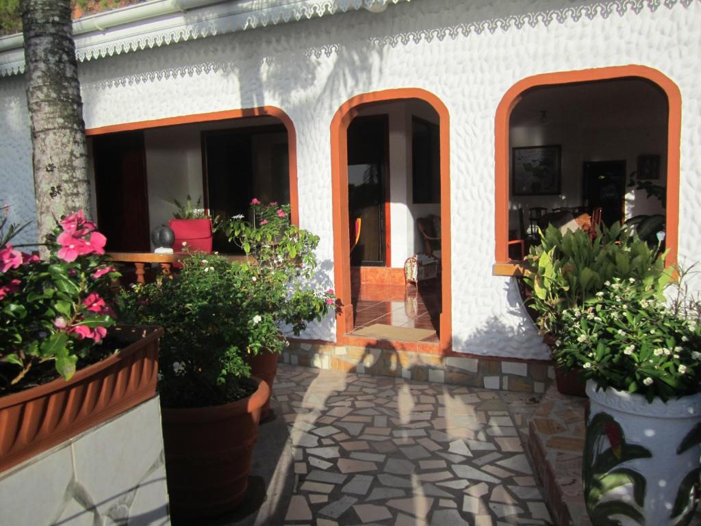 Villa Milou photo 3