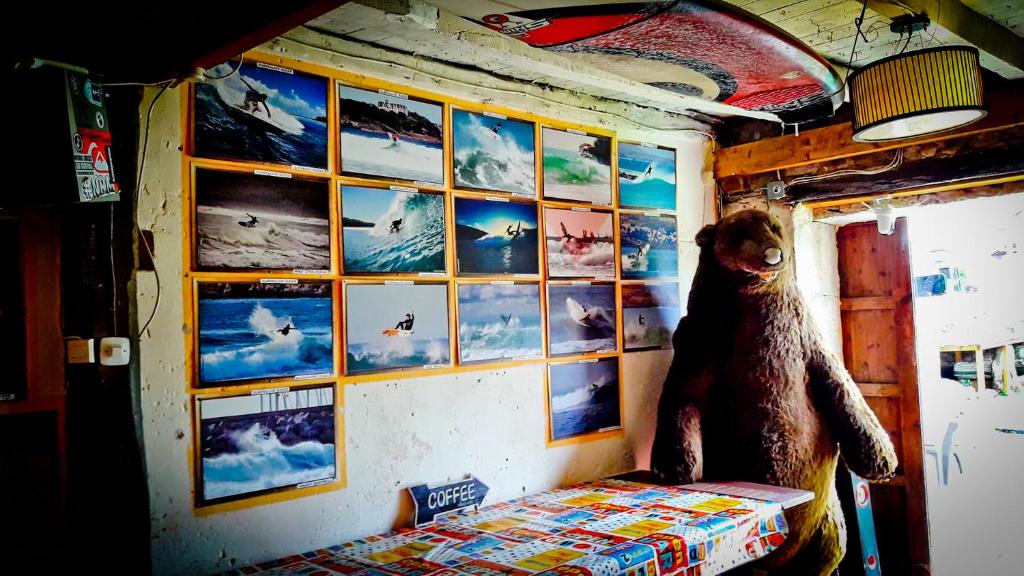 SURFtoLIVE House photo 4