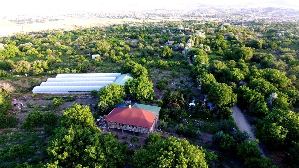 Kapadokya Organik Ciftlik Evi photo 1