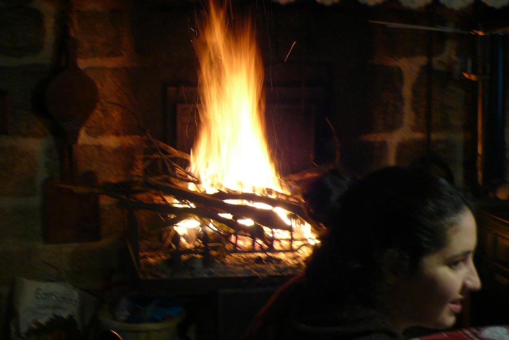chez Geppetto photo 2