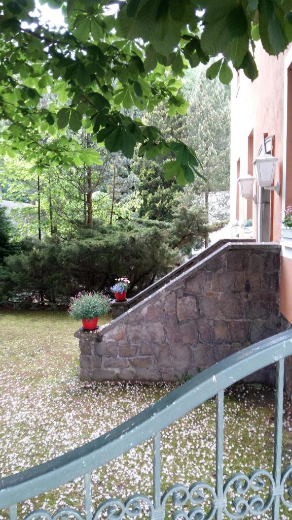 Pension am Tharandter Wald photo 3