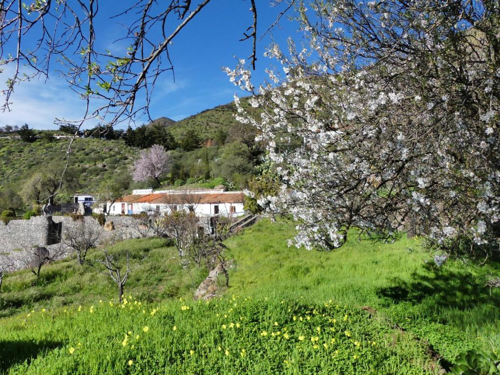 Mountain Hostel Finca La Isa photo 3