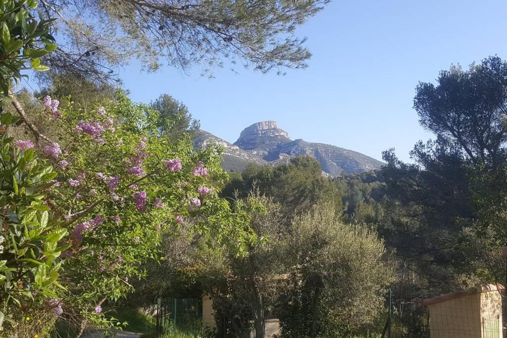 Charmant Appartement Neuf Le Taoume
