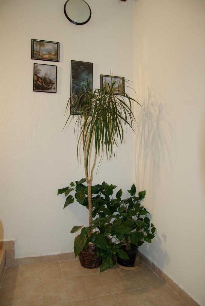 Hostel Humpolec photo 1