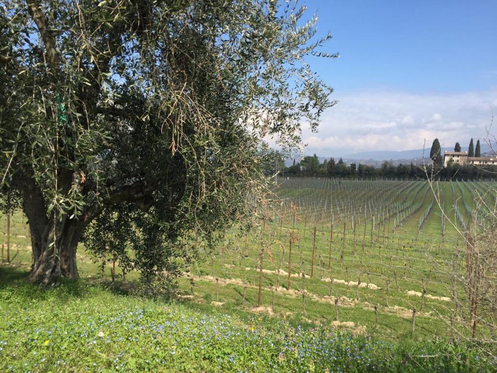 Tenuta La Cà photo 2