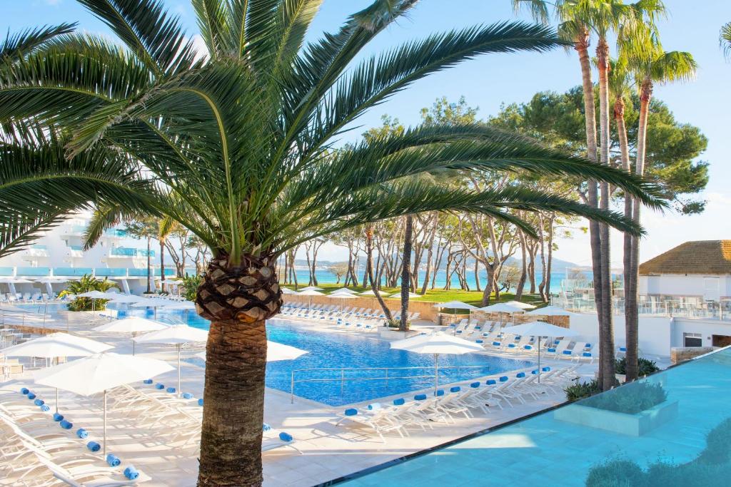 Iberostar Playa de Muro photo 3