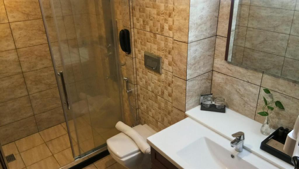 Двухместный (Двухместный номер Делюкс с 1 кроватью), Hotel Karthika Park