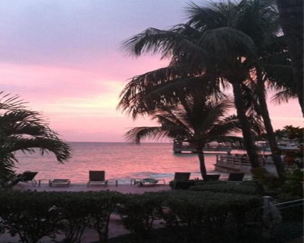 Coconut Beach Resort photo 1