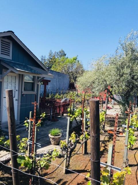 Andrea's Hidden Cottage photo 2