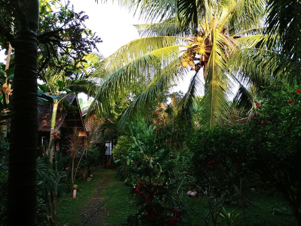 Reggae Guesthouse photo 4